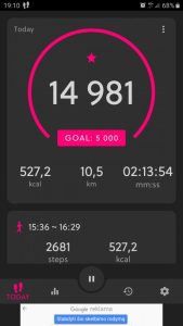 Screenshot_20220330-191012_Pedometer